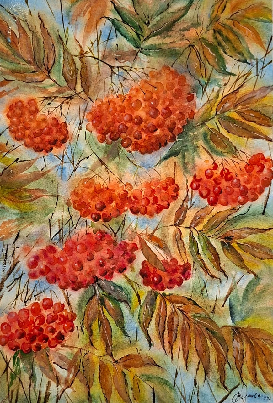 Рябиновые гроздья