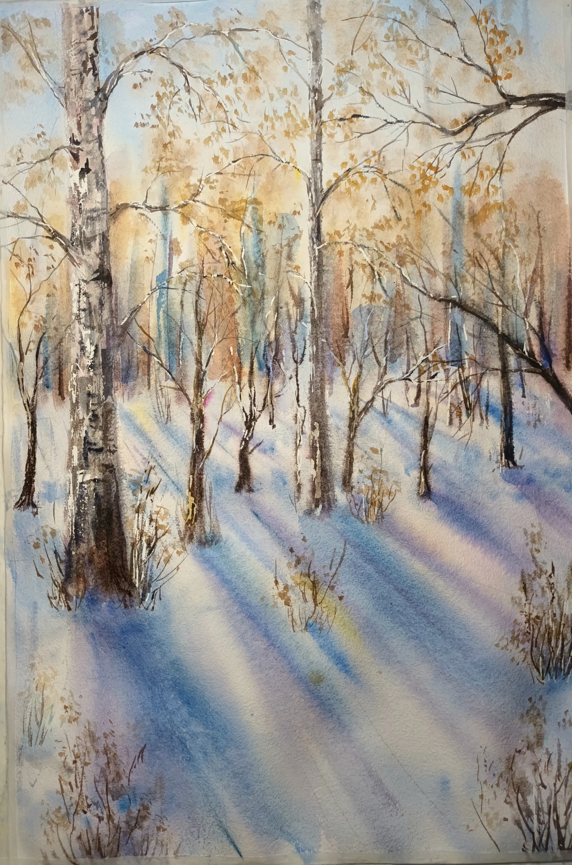 Зимний день