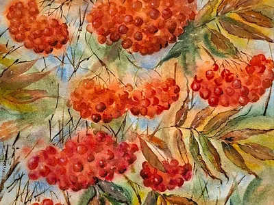 Рябиновые гроздья